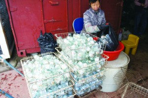 本港近一半廢料已被回收。何嘉雯攝