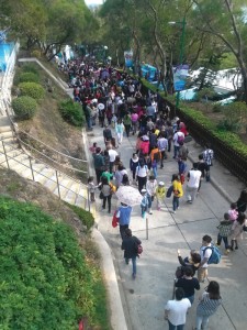Ocean Park (main)